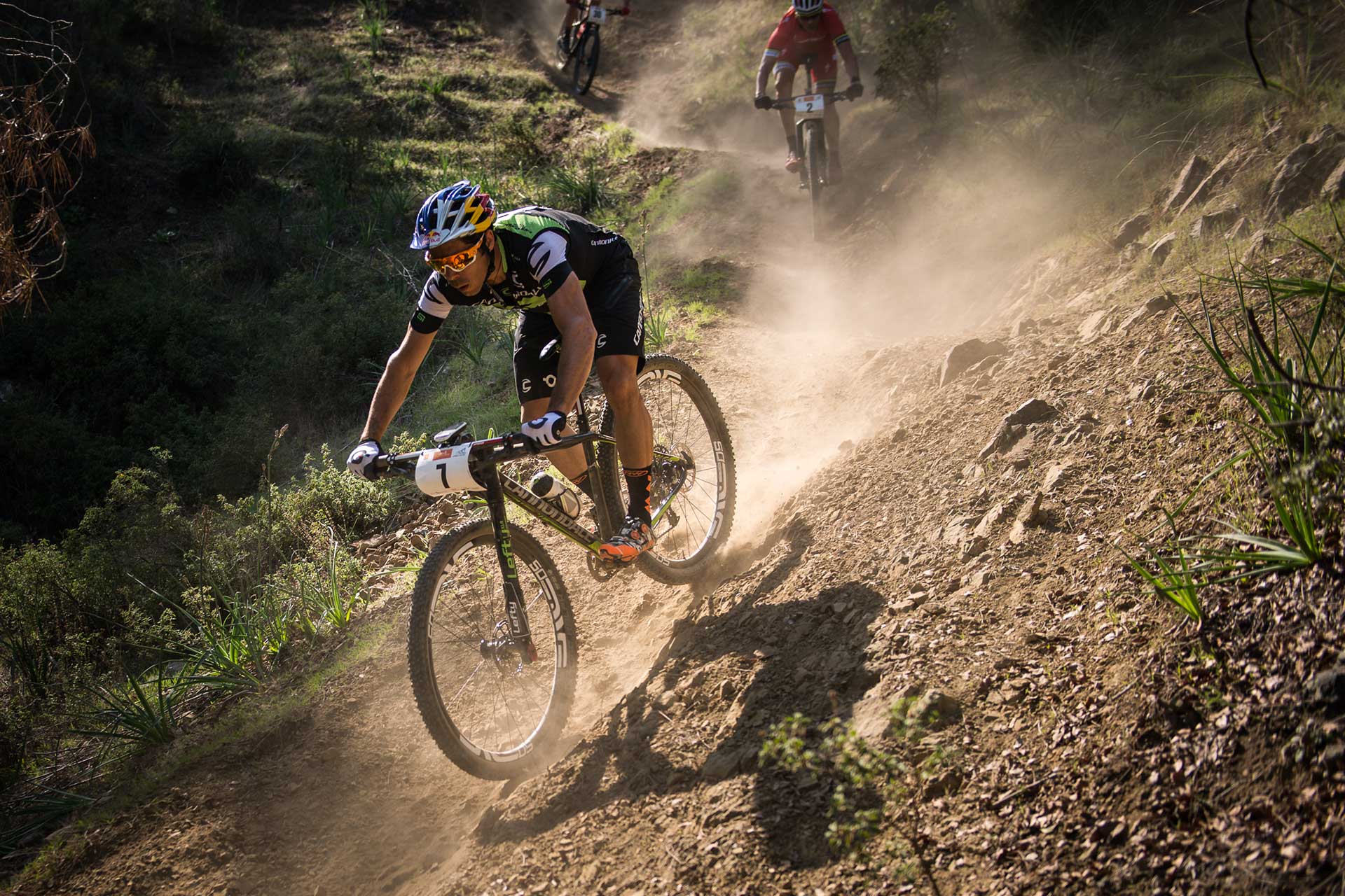 XC RACE CANNONDALE Bicycles