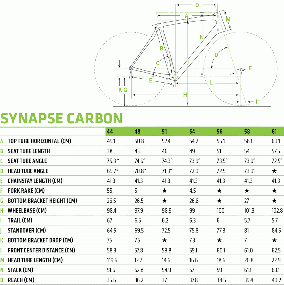 Synapse Carbon Ultegra Di2 - 