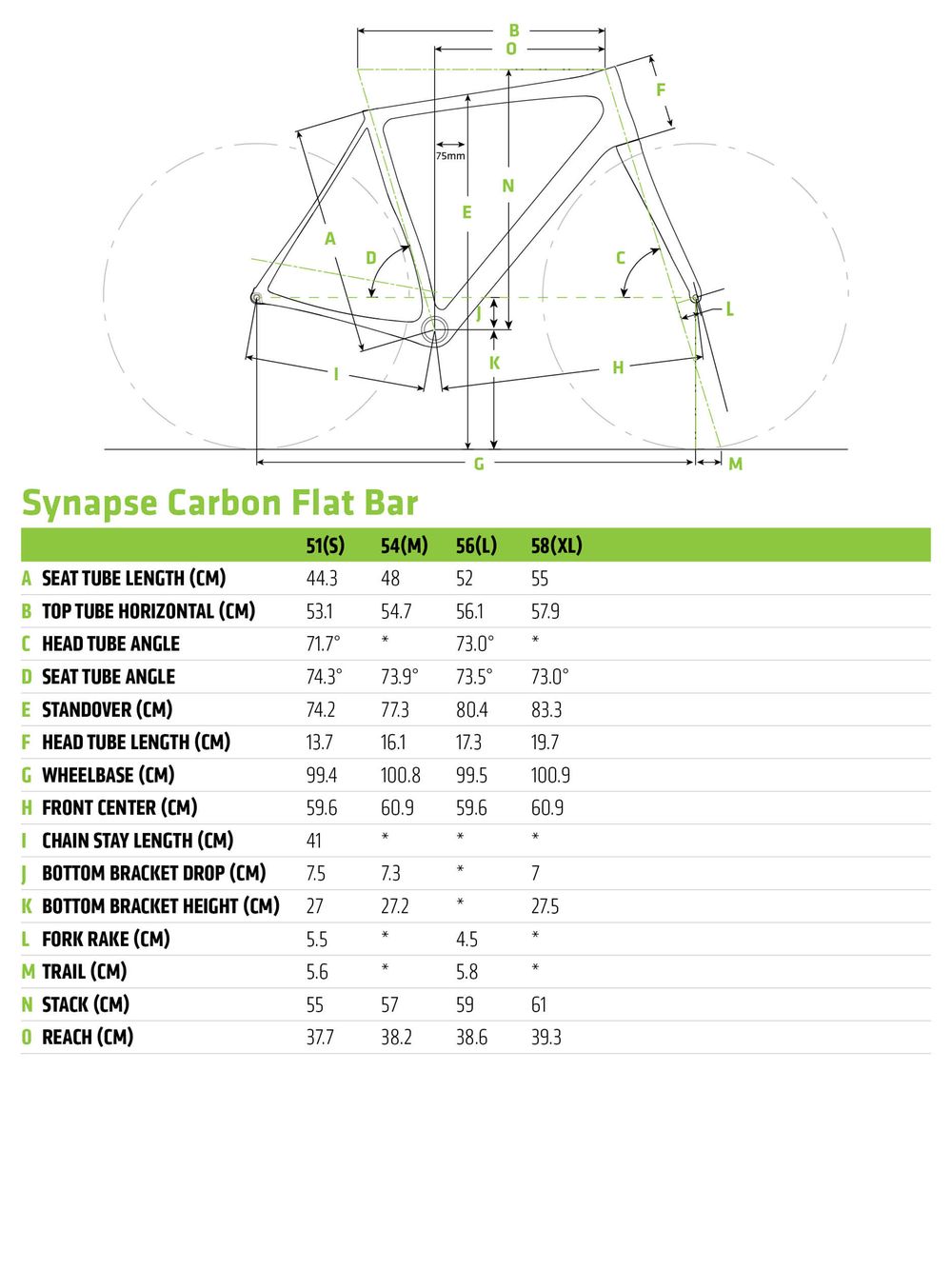 Synapse Carbon Disc Ultegra Flat Bar - 