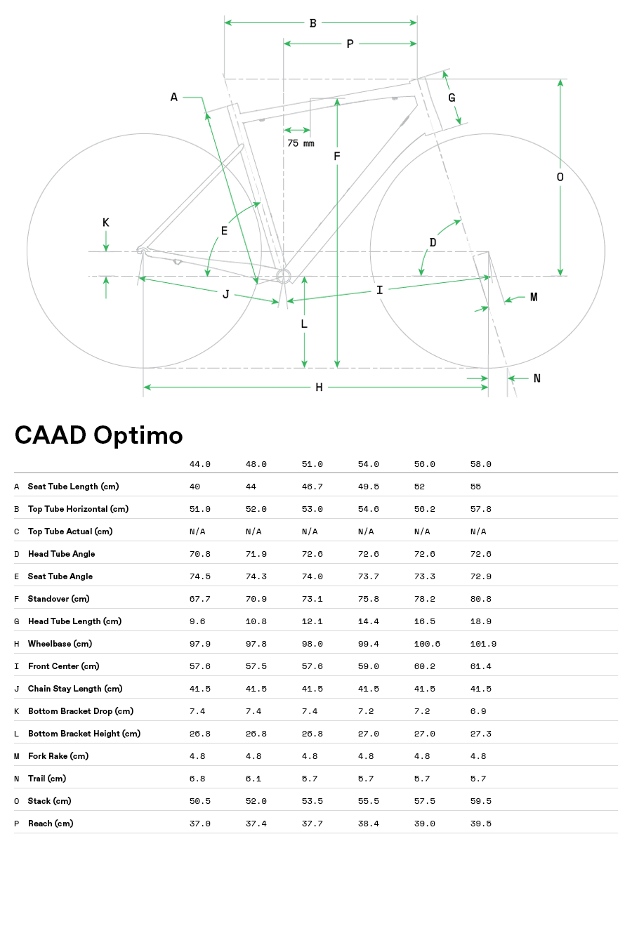 CAAD Optimo 1 - Geometria