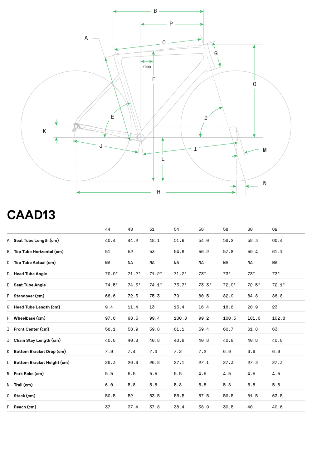 CAAD13 Disc Tiagra - Geometria