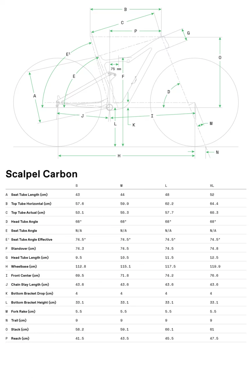 2423-scalpel-carbon-4_g_thf.webp