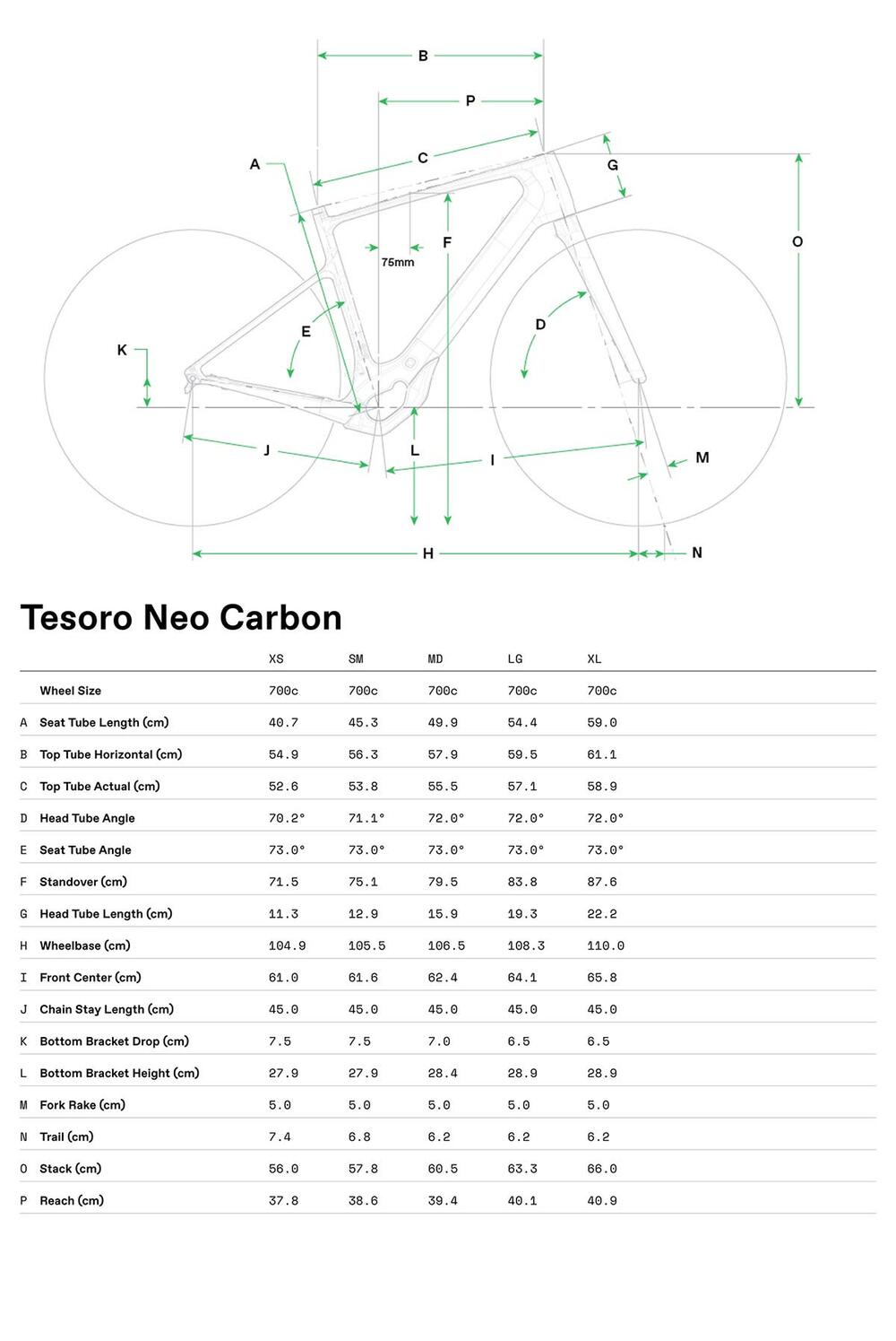 Tesoro Carbon 1 - Geometria