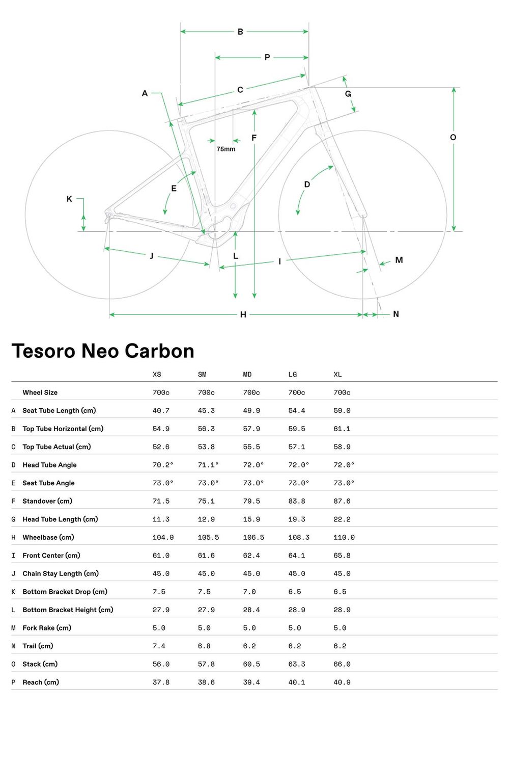 Tesoro Neo Carbon 1 - 
