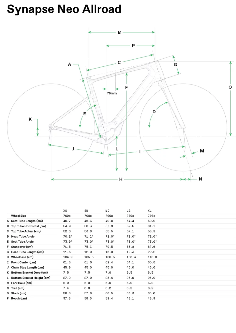 Synapse Neo Allroad 1 - Geometria