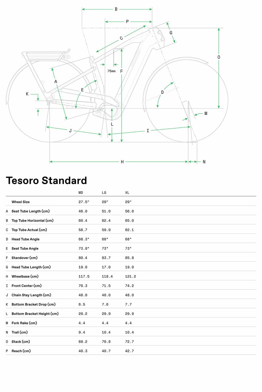 Tesoro 2 - Geometria