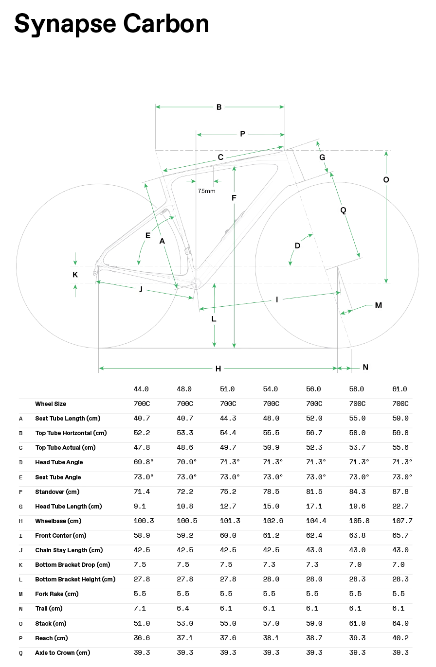 Synapse LAB71 Frameset - Geometria