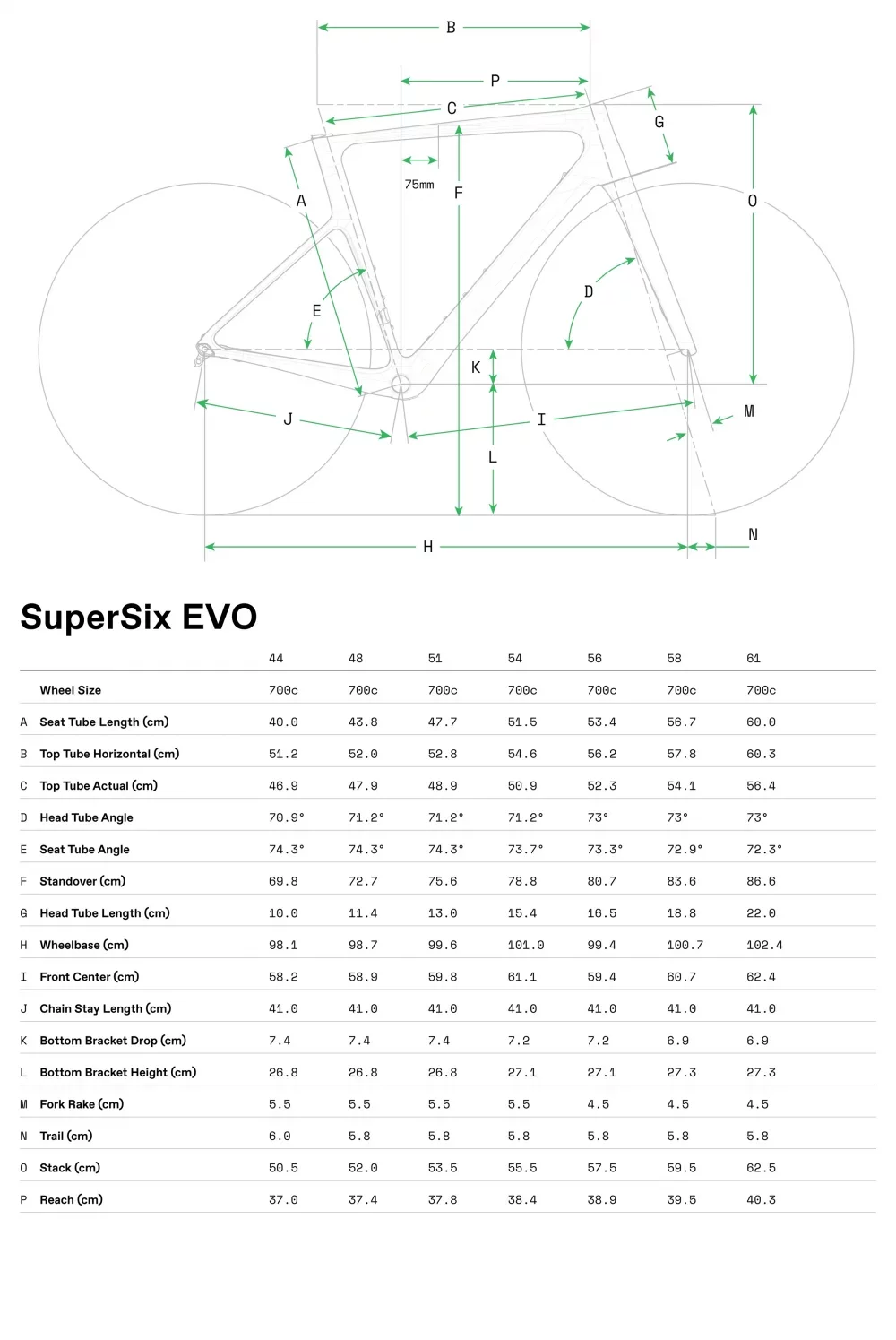 SuperSix EVO 1 - Geometria