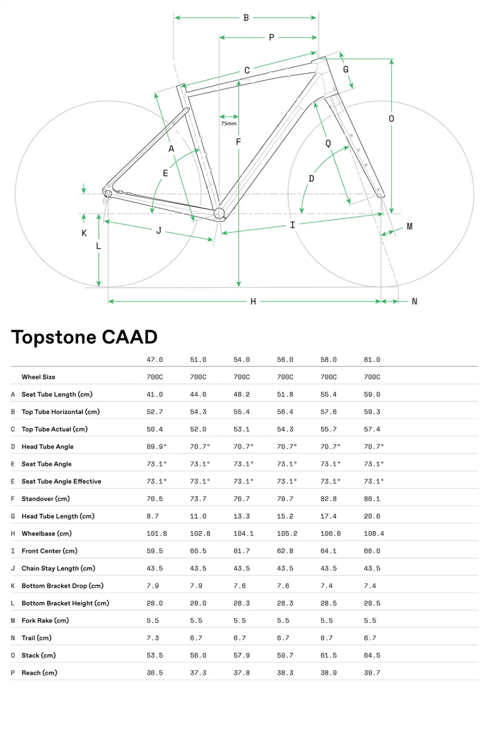 Topstone CAAD 1 GRX 1x - Geometria
