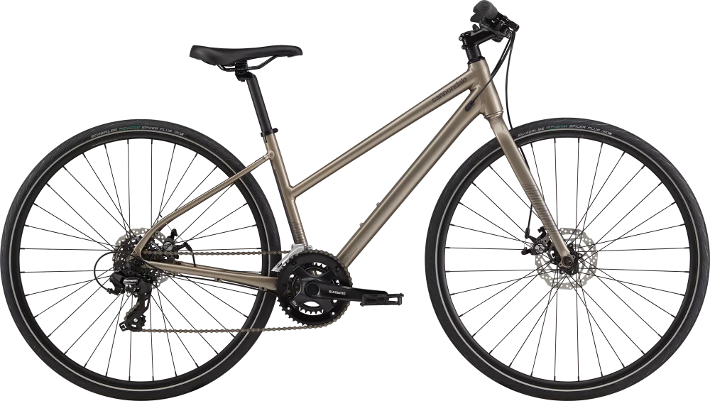 221_main_thumb_w1000.webp 221_main_thumb_w1000.webp
