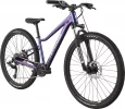 Kids Trail 26 - Purple Haze