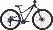 Kids Trail 26 - Purple Haze