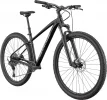 Trail 1 - Black