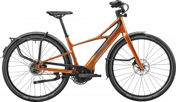 FlyingV 2 - Tiger Eye