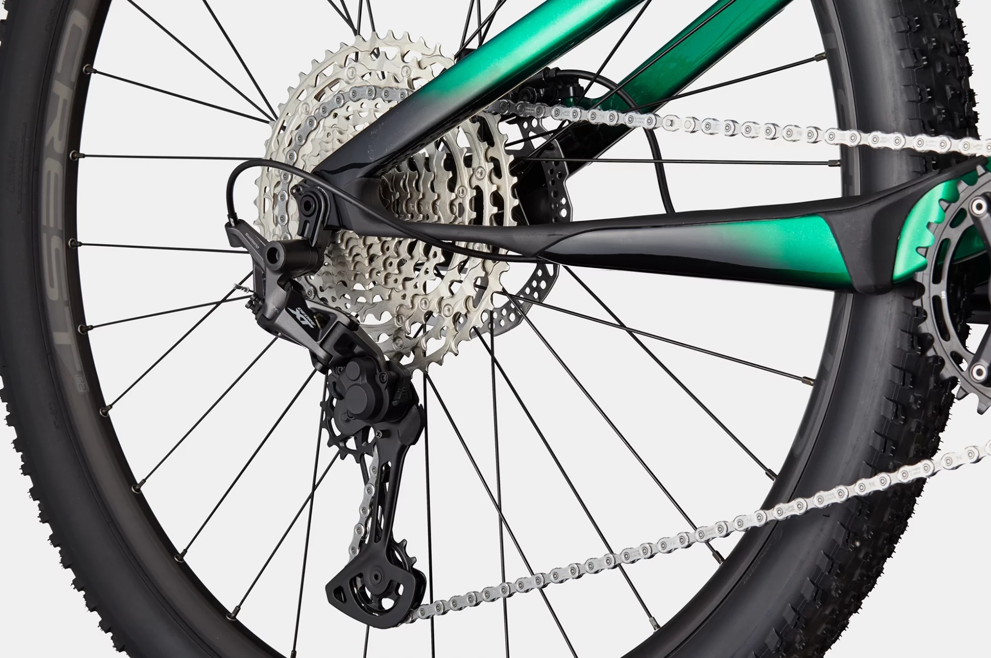 cannondale cad2 R500 54サイズ 2529-habit-26_1_thumb_h700.webp