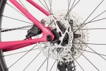 Scalpel HT Carbon 4 - Orchid