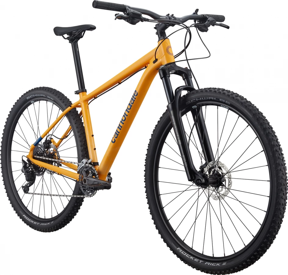 Trail 5 - Mango