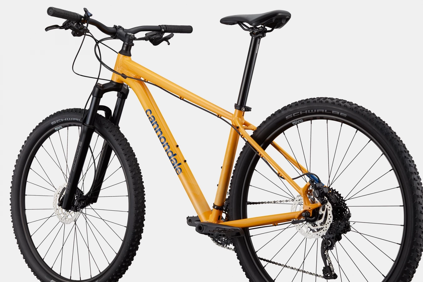 Trail 5 - Mango