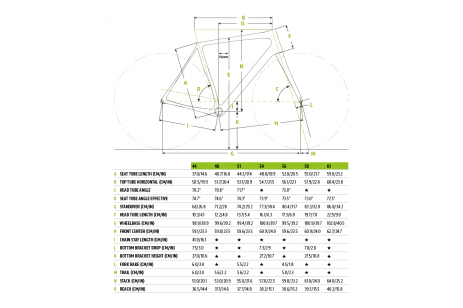 Geometrie | Synapse 2018 - Modele